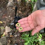 Photo taken by Luke T