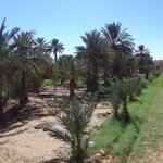 Photo taken by WILLIAM B