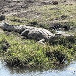 Photo taken by Janie W