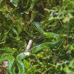 Photo taken by William A