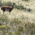 Photo taken by Kim M