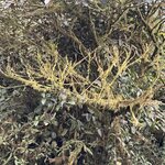 Photo taken by Ben B