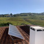 Photo taken by Dee C