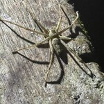 Photo taken by Edit M