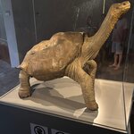 Photo taken by Lisa P