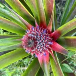 Photo taken by Rob C