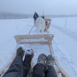 Photo taken by Monique V