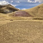 Photo taken by Terje R