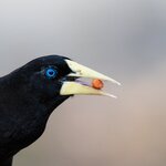 Photo taken by Matt W