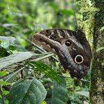 Photo taken by Lisa T