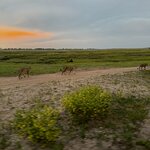 Photo taken by Christopher F