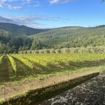 Photo taken by Mary H