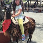 Photo taken by Melissa C