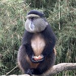 Photo taken by Fuad A