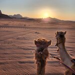 Photo taken by Wendy Q