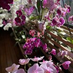 Photo taken by Matt P