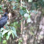 Photo taken by Graeme W