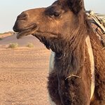 Photo taken by Don G