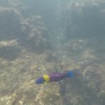 Photo taken by Kiko S