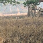 Photo taken by Cayden S