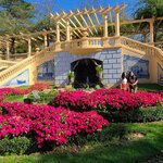 Photo taken by Laura R