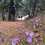 Trekking  | Photo taken by Ralph A