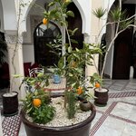 Photo taken by Christine S