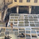 Photo taken by Cristy C