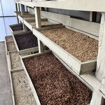 Photo taken by Darcy M