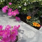 Photo taken by Cheryl L