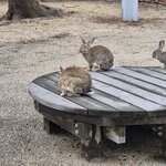 Photo taken by Zulhelmi R