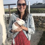 Sweet bunny | Photo taken by Alexandra S