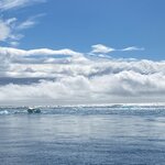 Photo taken by Eliza M