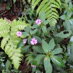 Photo taken by Pat K