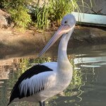 Photo taken by William Scott S