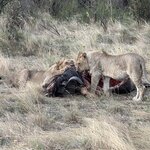 Photo taken by Gabrielle A