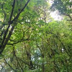 Photo taken by Darla D