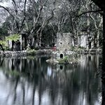 Photo taken by Anna M