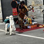 Photo taken by Liz S