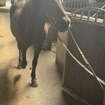 Photo taken by Dawn S