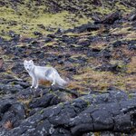 Photo taken by Mark Z