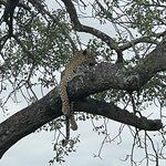 Photo taken by Jeanine B