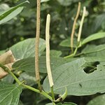 Photo taken by Touraj K