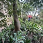 Photo taken by Kristin M