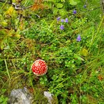 Photo taken by Sharon C