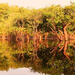 Photo taken by Dennis H