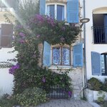 Photo taken by Michelle B