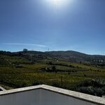 Photo taken by Dee C