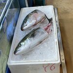 Photo taken by Adrian D