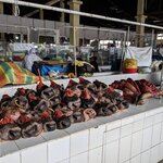 Photo taken by Susan B